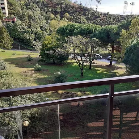 Peglimare209 Lejlighed