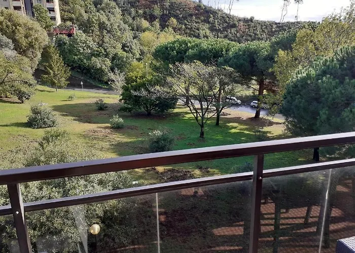 Peglimare209 Lejlighed